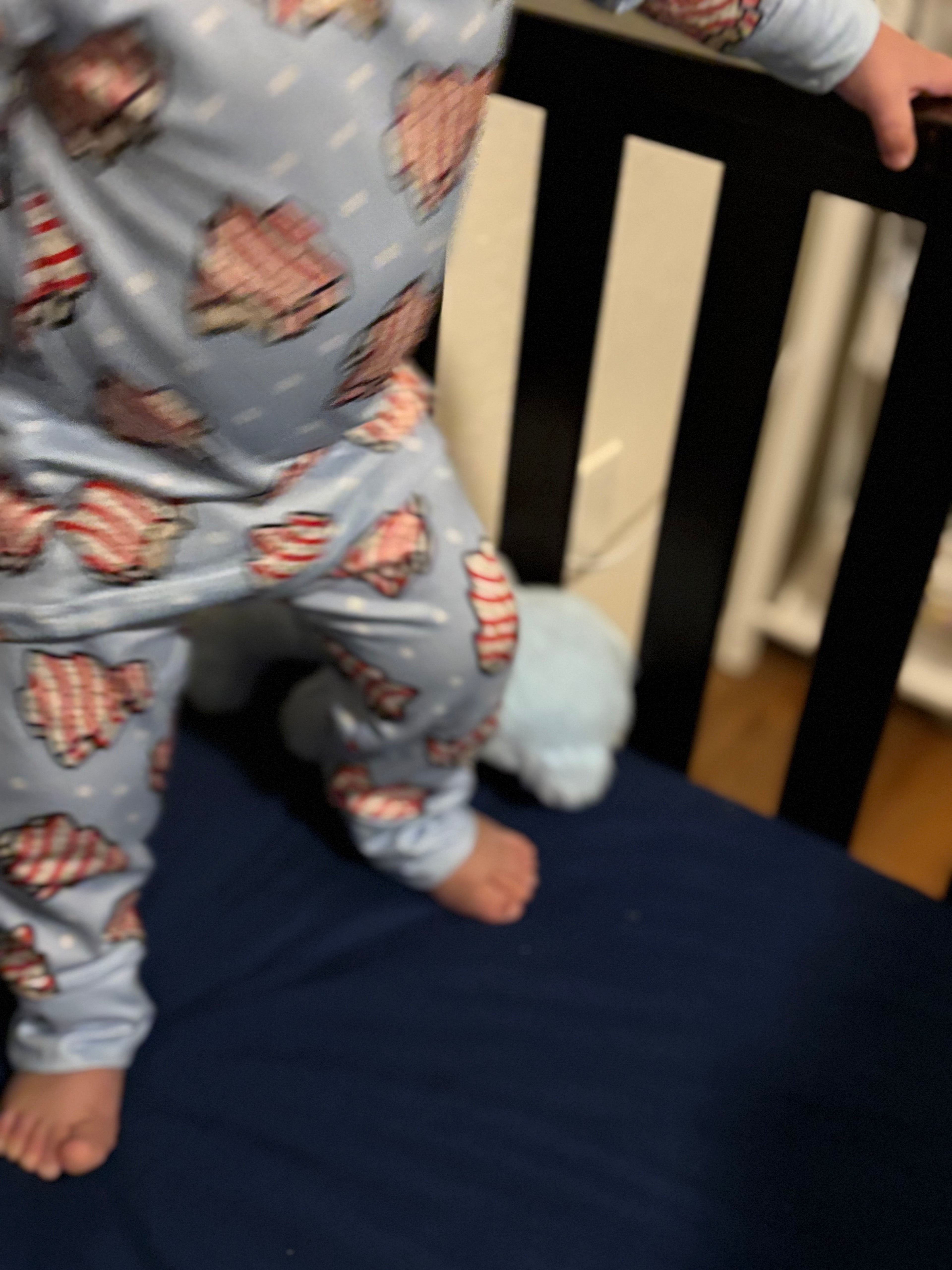 Christmas Cakes pajama set